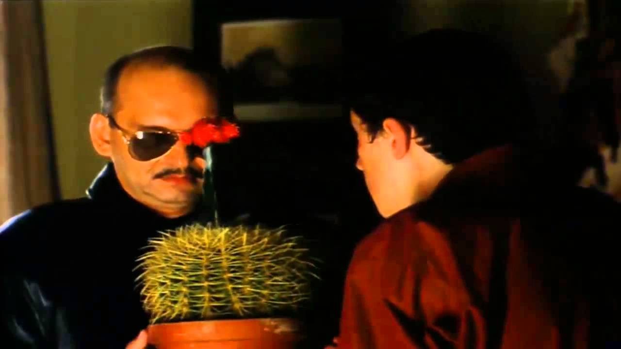 -Czesiek: A na ch*j mnie ten kaktus?! (Wyrzuca kaktus przez …