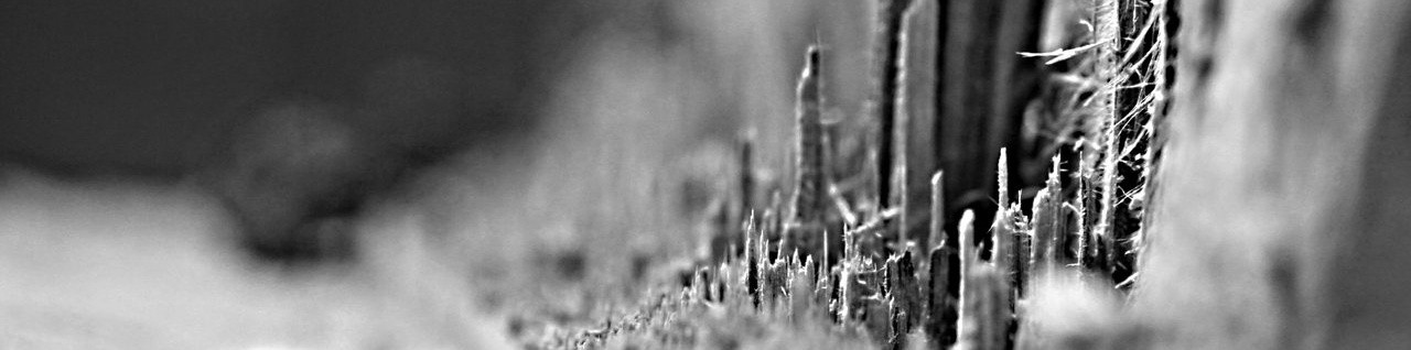 Myślałem że uczę się żyć , a uczyłem się jak …