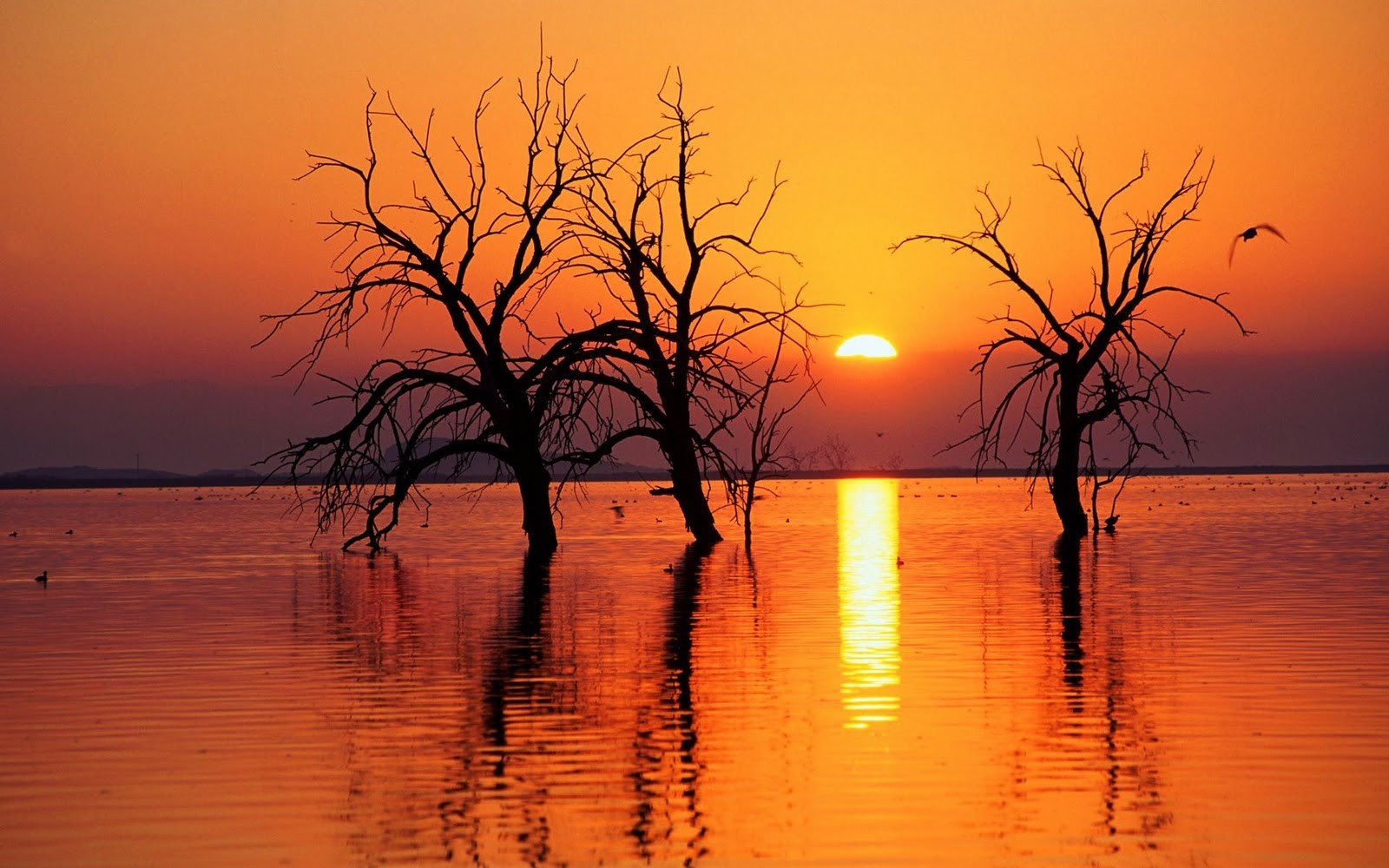 Tchórze zawsze będą czynić wrzask i domagać się śmierci tych, …