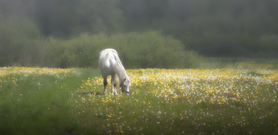 Nic się nie kończy, co najwyżej zmienia.