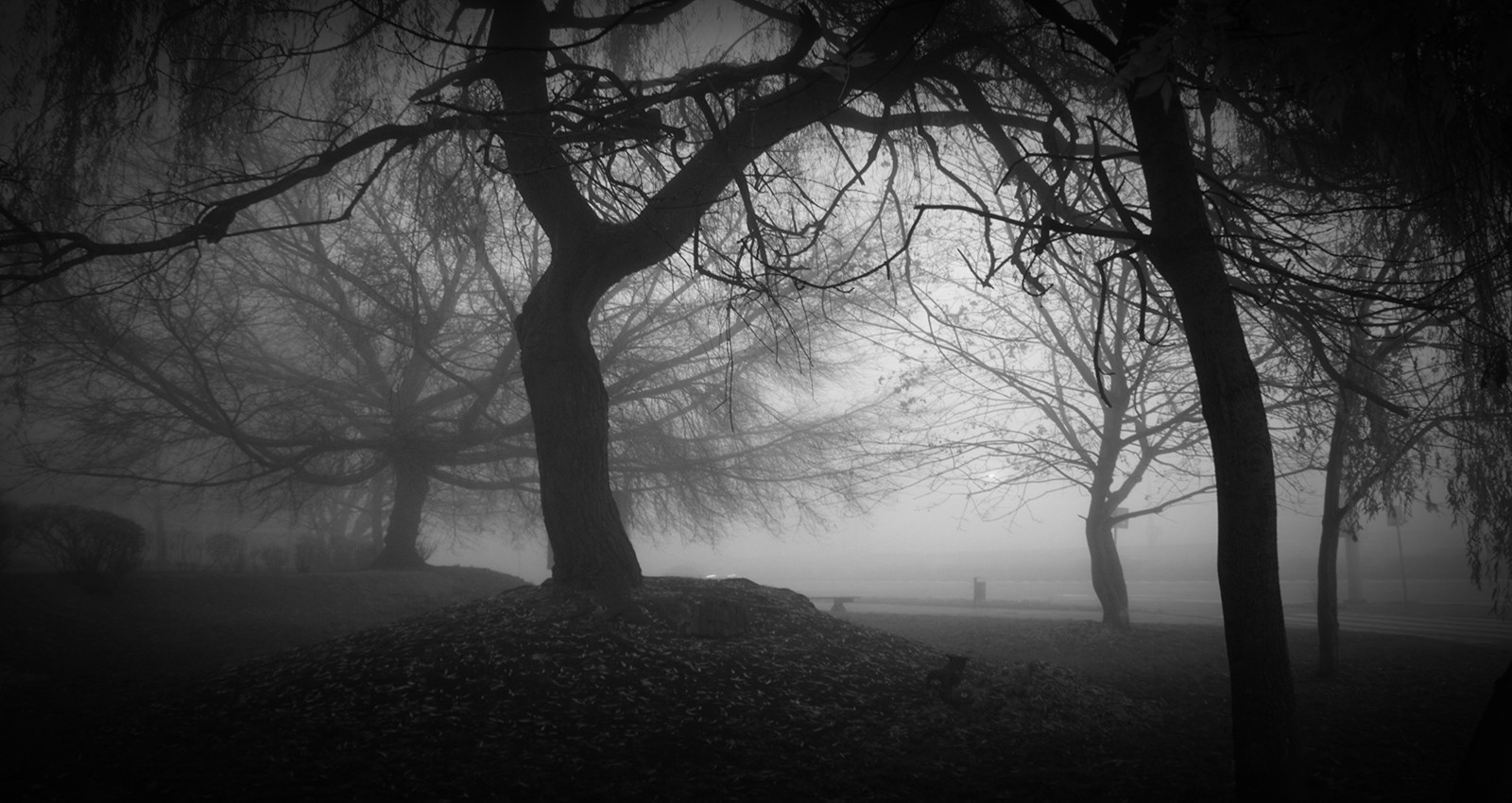 Zawsze twierdziła, że jest milczący jak cień, cichy jak zapadający …