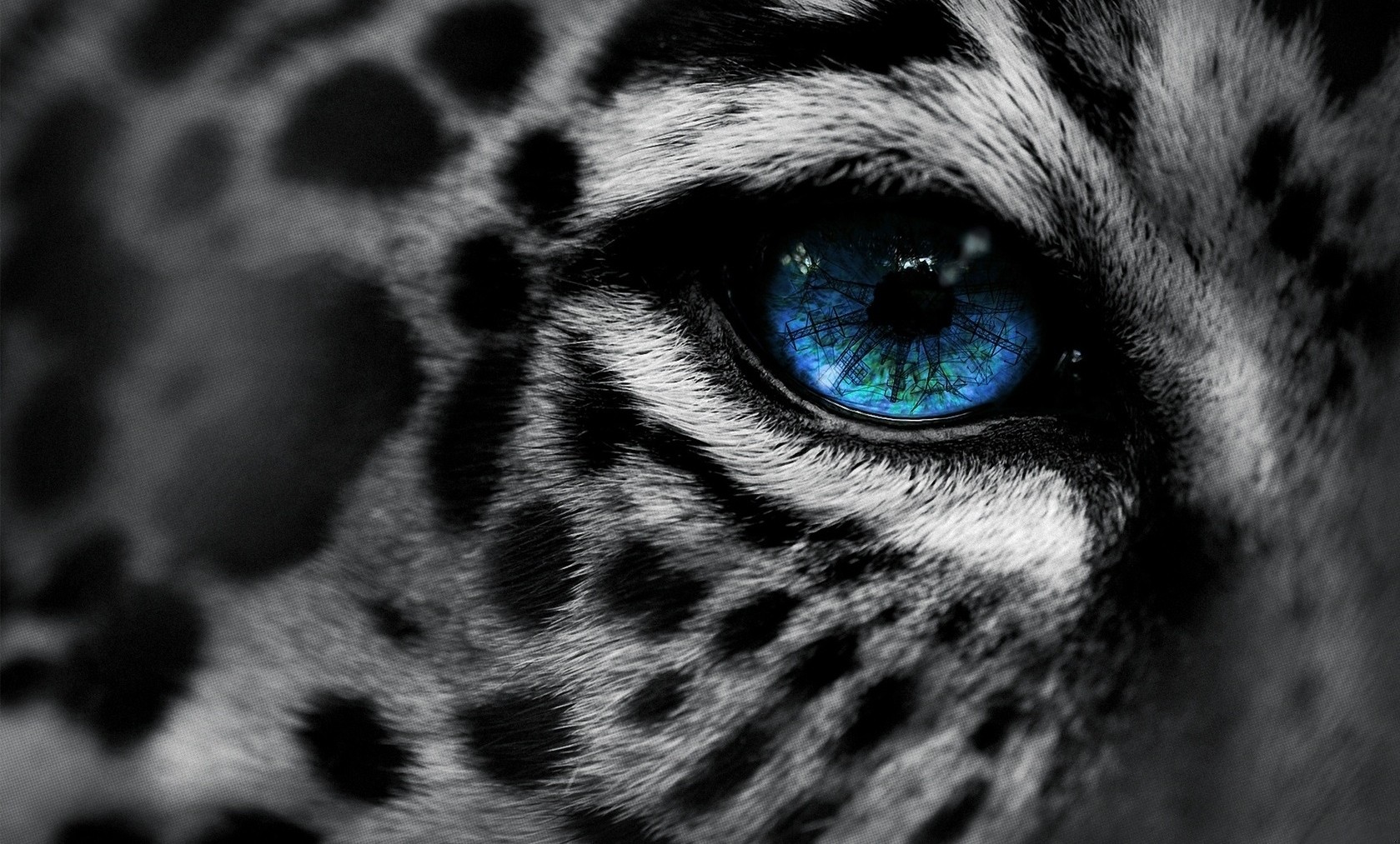 Czerń jest kolorem nocy. Biel jest prawdziwym kolorem śmierci.