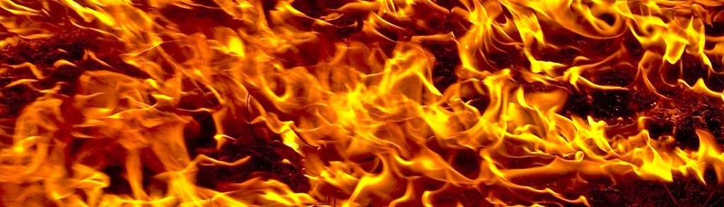 Jestem wystarczająco mądry , aby drugi raz nie wsadzić ręki …