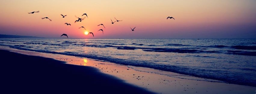 Szczerość może być dobra. – Jej słowa unosiły się w …