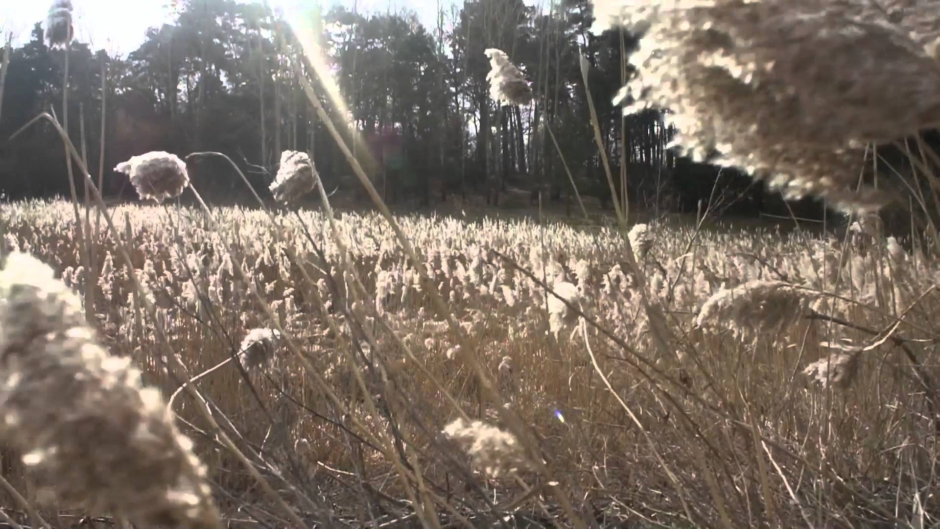 Historia-to popękane płyty i zapomniane kości,miliony ludzi sądzących, że żyją …
