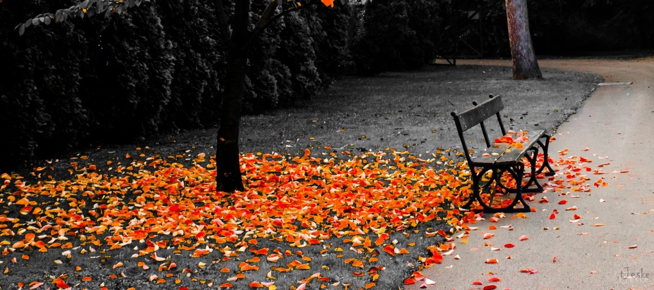 – A ty? Czy twoi rodzice się kochali? – Nie …