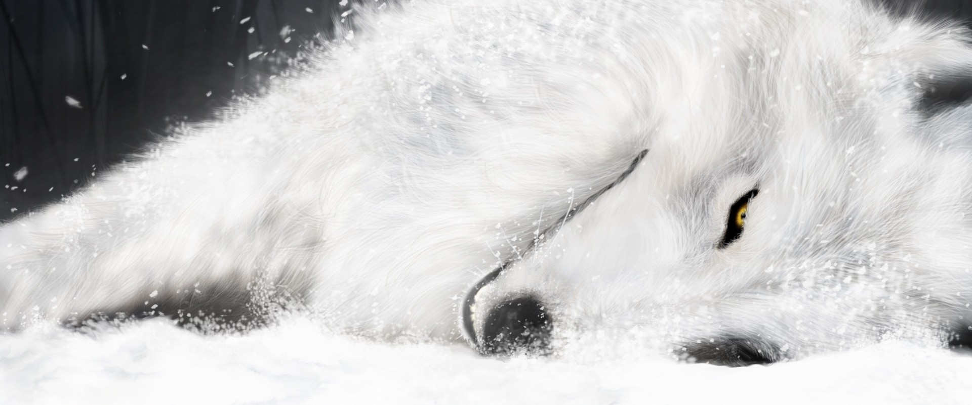 Jeśli żałując własnego życia, bojąc się odnieść rany, zaprzestaniesz poszukiwań, …