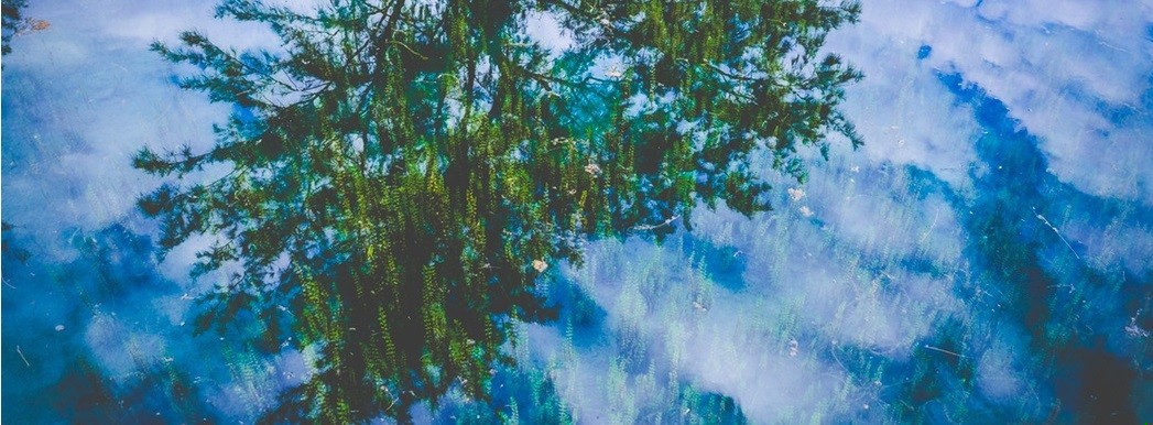 Można mieć wiele hobby i nie ważne co byś robił, …