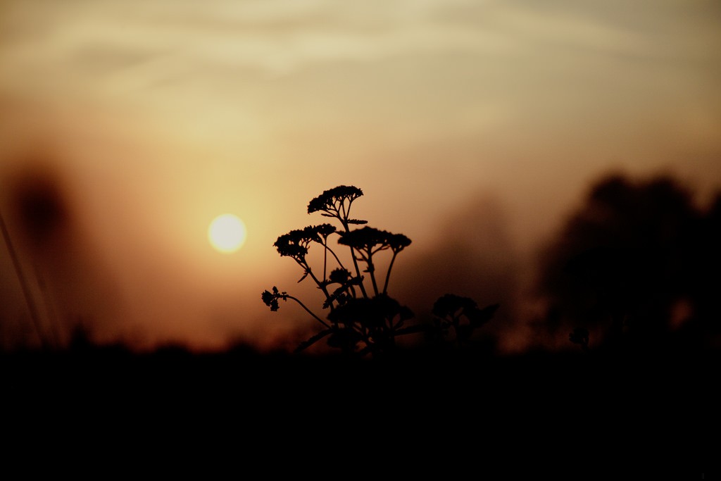 Zawsze jest pora i widzieć i mówić prawdę.