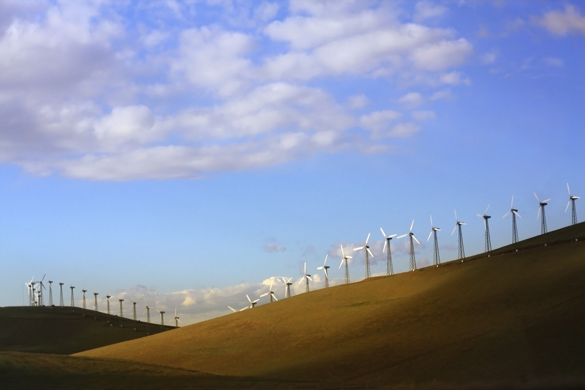 To nie rozum określa naszą świadomość. To żołądek.