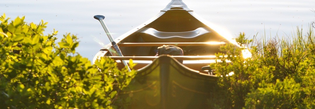 Wybaczenie to nie zapomnienie. Chodzi w nim o to, żeby …