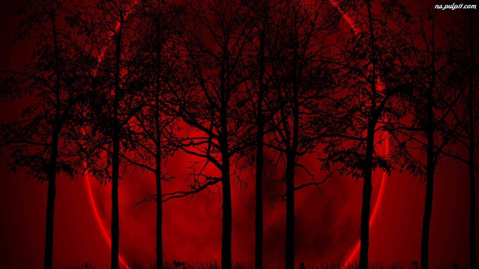 Zmarli mają tę zaletę, że nie wymagają natychmiastowej pomocy.