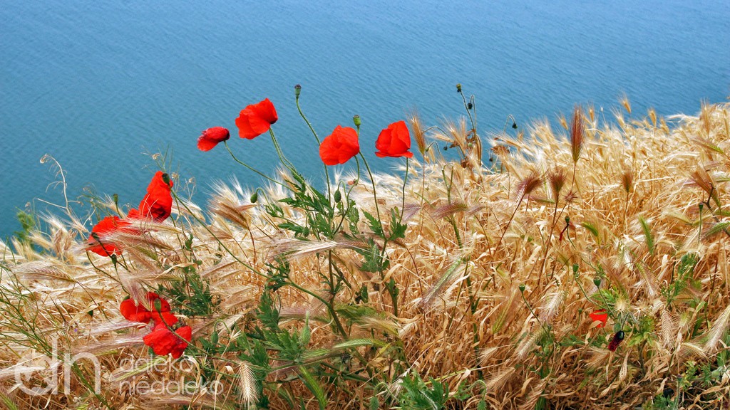 Co znaczy cierpienie, kiedy w życiu miało się kilka nieśmiertelnych …