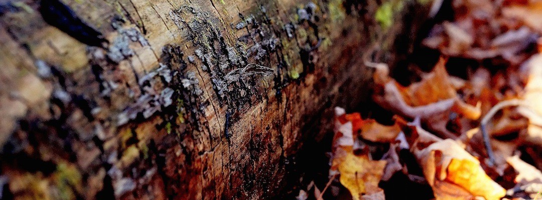 Czasami trzeba najmocniej trzymać się właśnie tego, czego nie można …