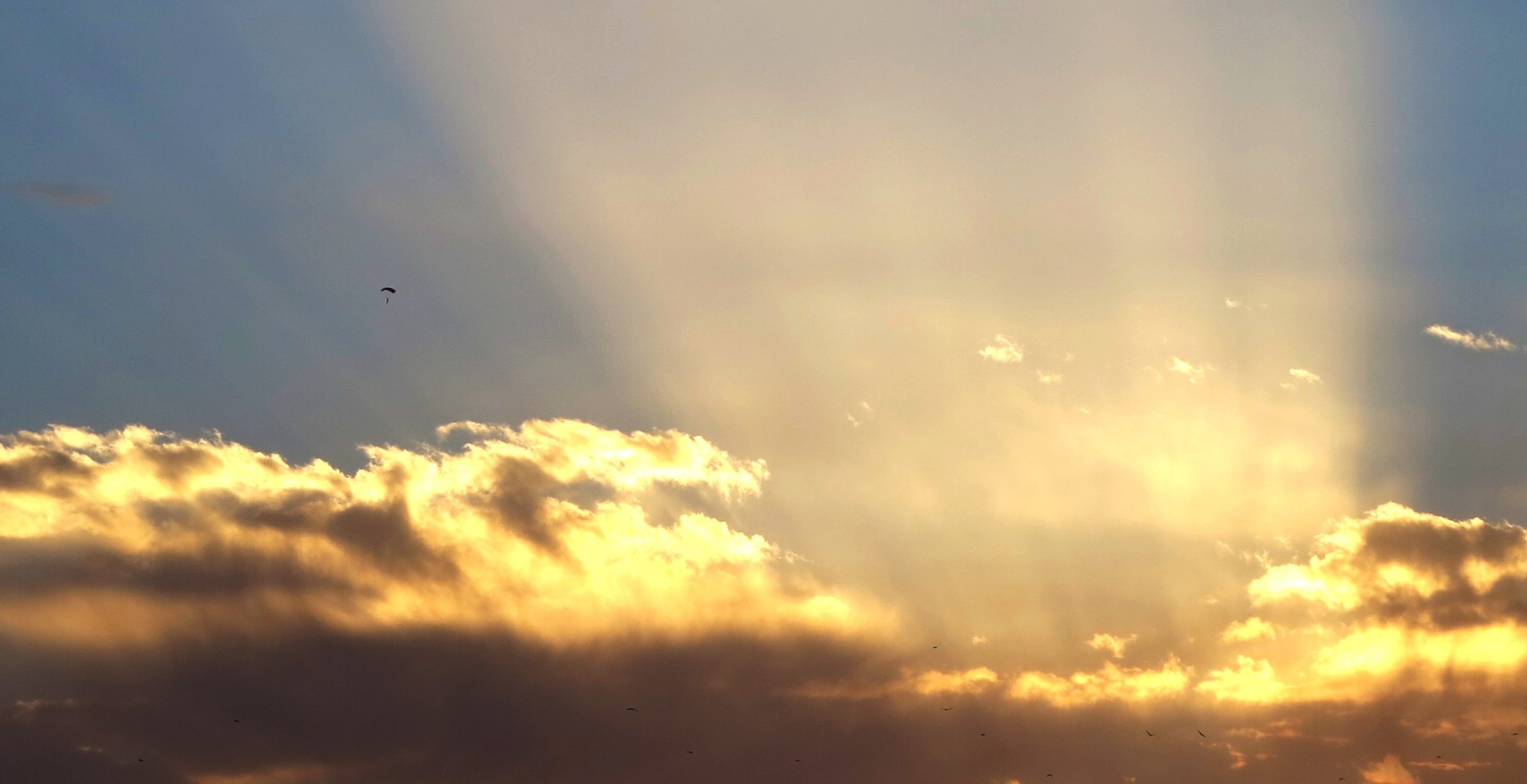 Zawiedzione nadzieje rodzą wielki ból.