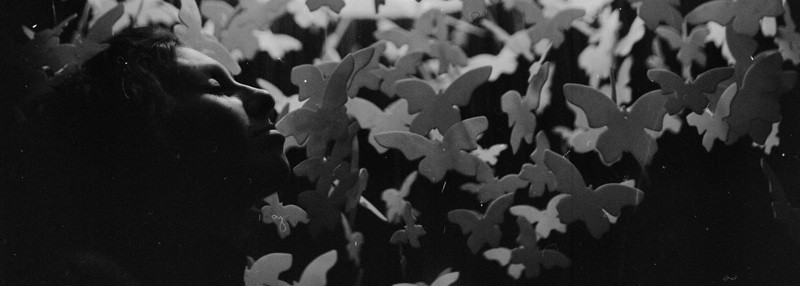 Motyle w brzuchu. Metafora do bani. Prędzej wściekłe pszczoły.