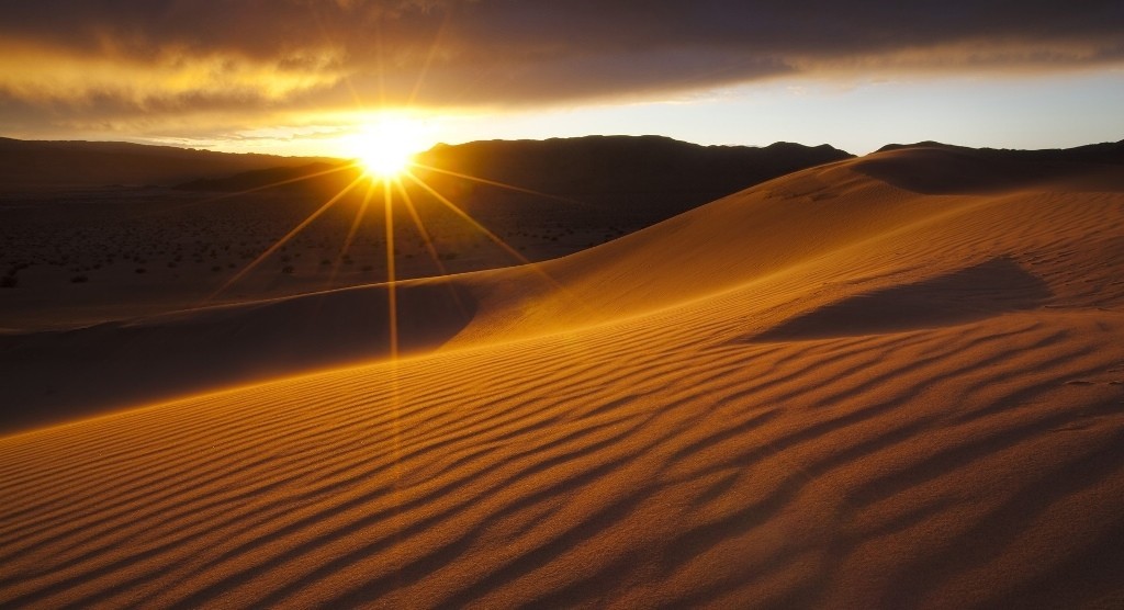 Kiedy usiłujemy ukryć nasze najskrytsze uczucia, zdradzamy się całym sobą.