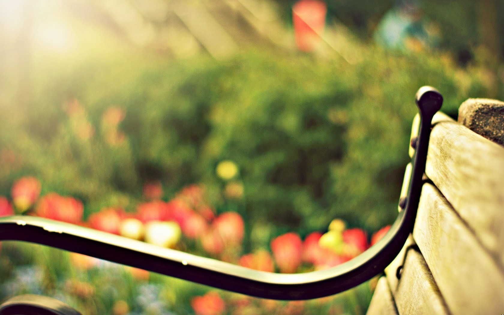 A co się działo w jej duszy? To, co w …