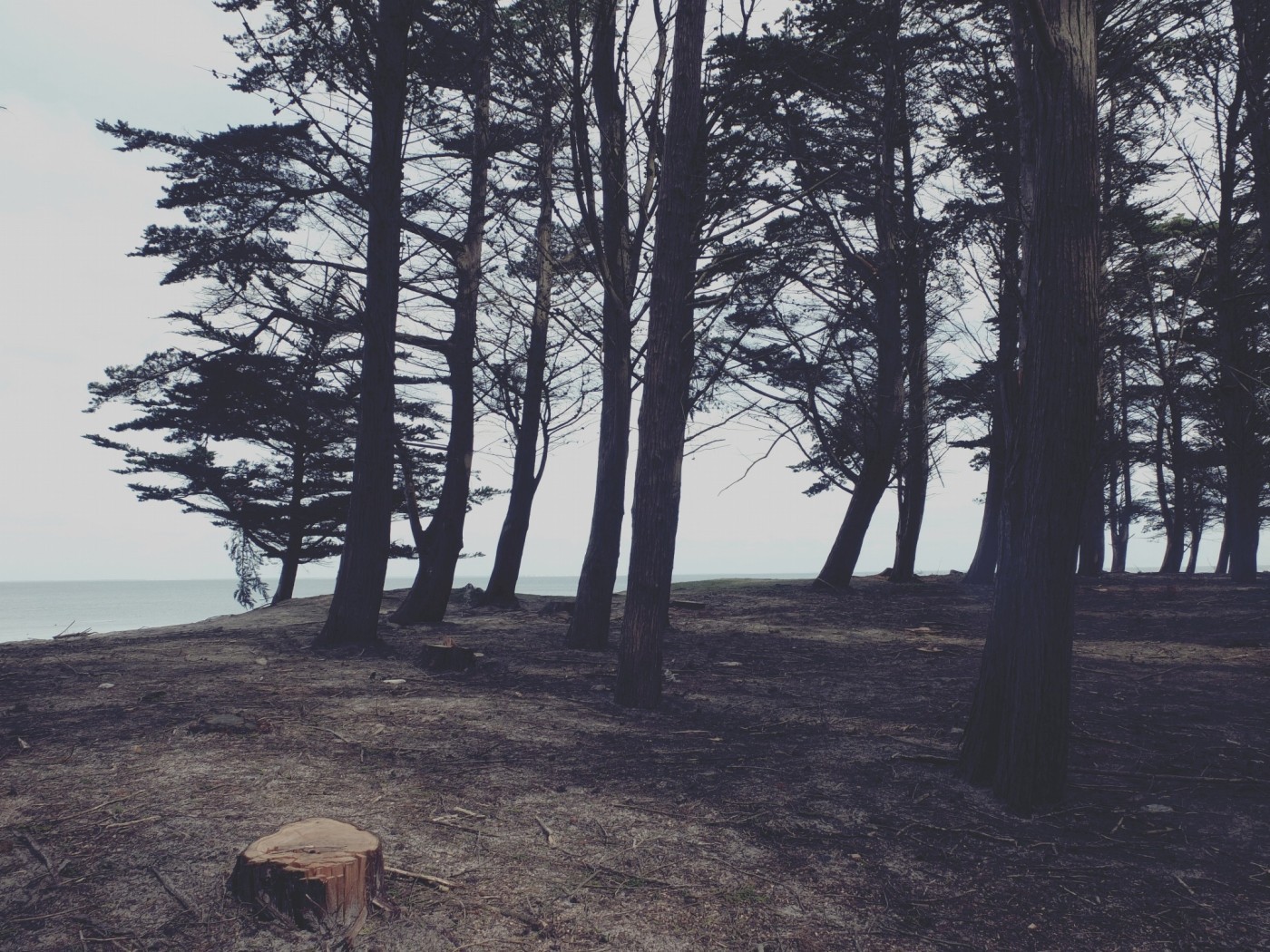 Armia składa się z niezbędnych, ale w pełni wymienialnych elementów.