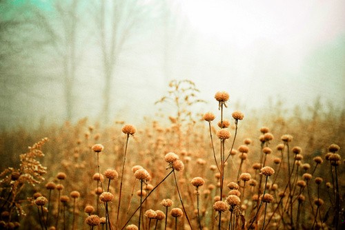 Choćbyś zerwał się bladym świtem, twój los i tak wstanie …