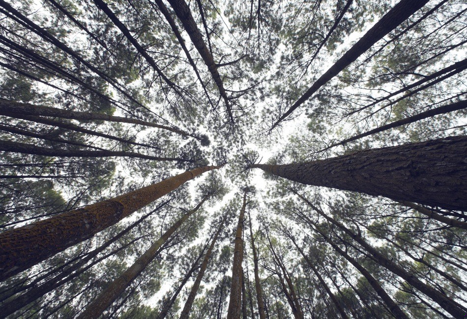 Błądzenie jest rzeczą ludzką, ale dobrowolne trwanie w błędzie jest …
