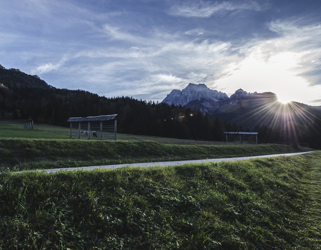 Człowiek dobrze się mający, niezależnie od swych zalet, zawsze rozczarowuje.