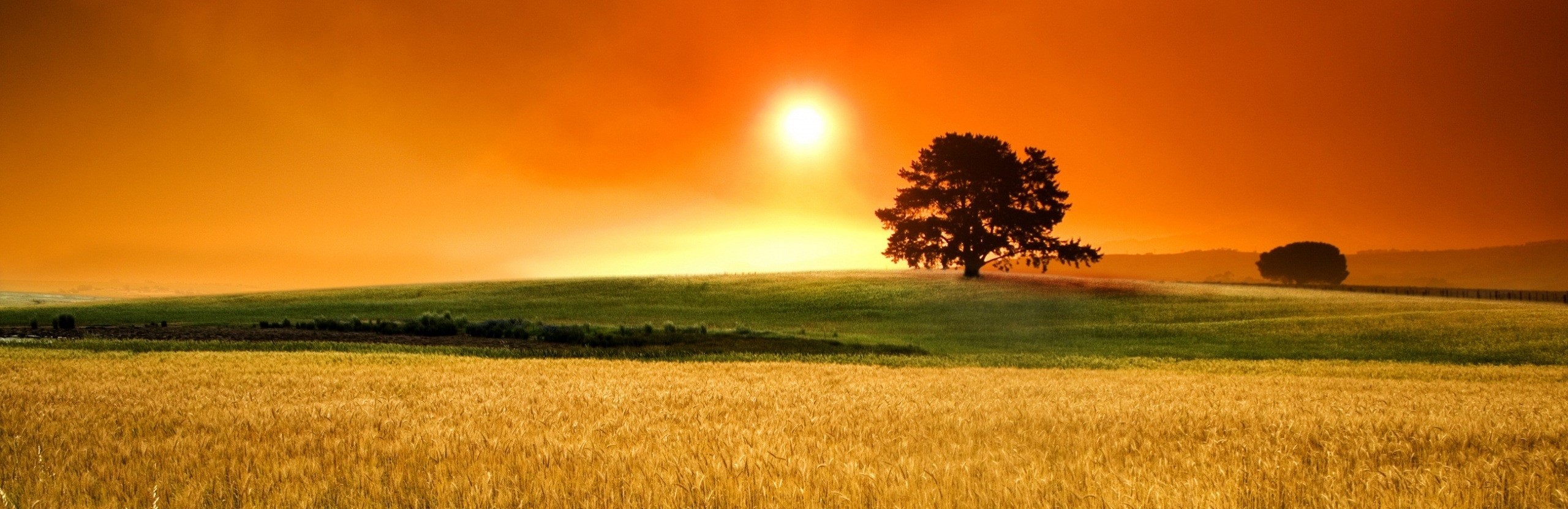 Bóg zsyła dobre i złe czasy, ale nie życzy sobie, …