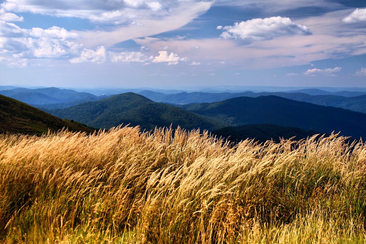 (…)dzisiaj człowiek musi się dobrze zastanowić, zanim wyjawi, w co …
