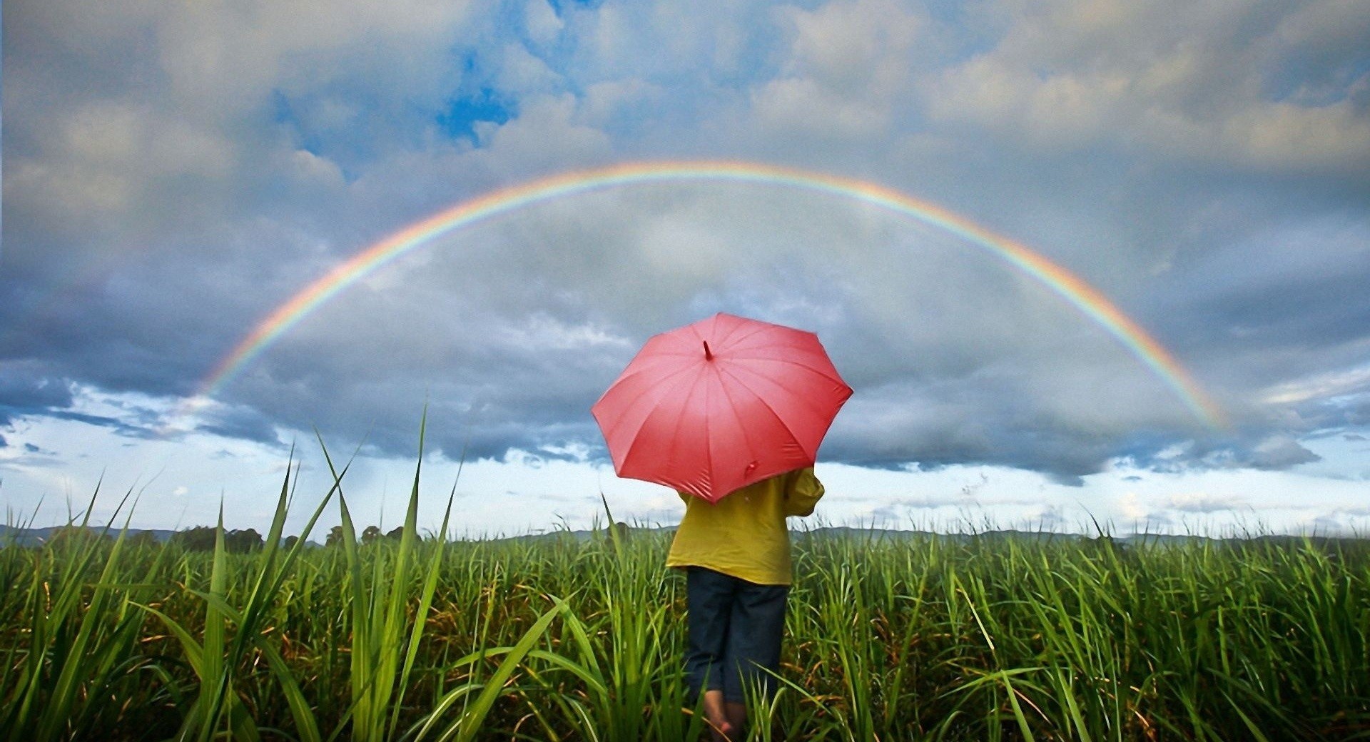 Tęcza jest szalikiem nieba.