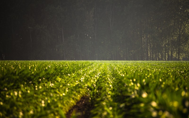 Żeby chronić siebie i to, co kochamy, walczymy jak bestie.