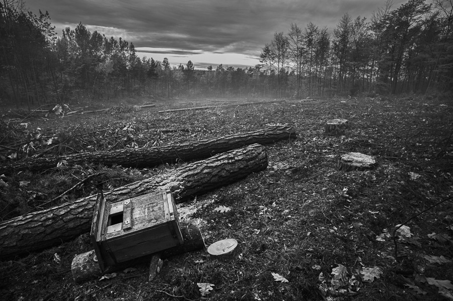 Wszyscy szukamy w życiu ideału.