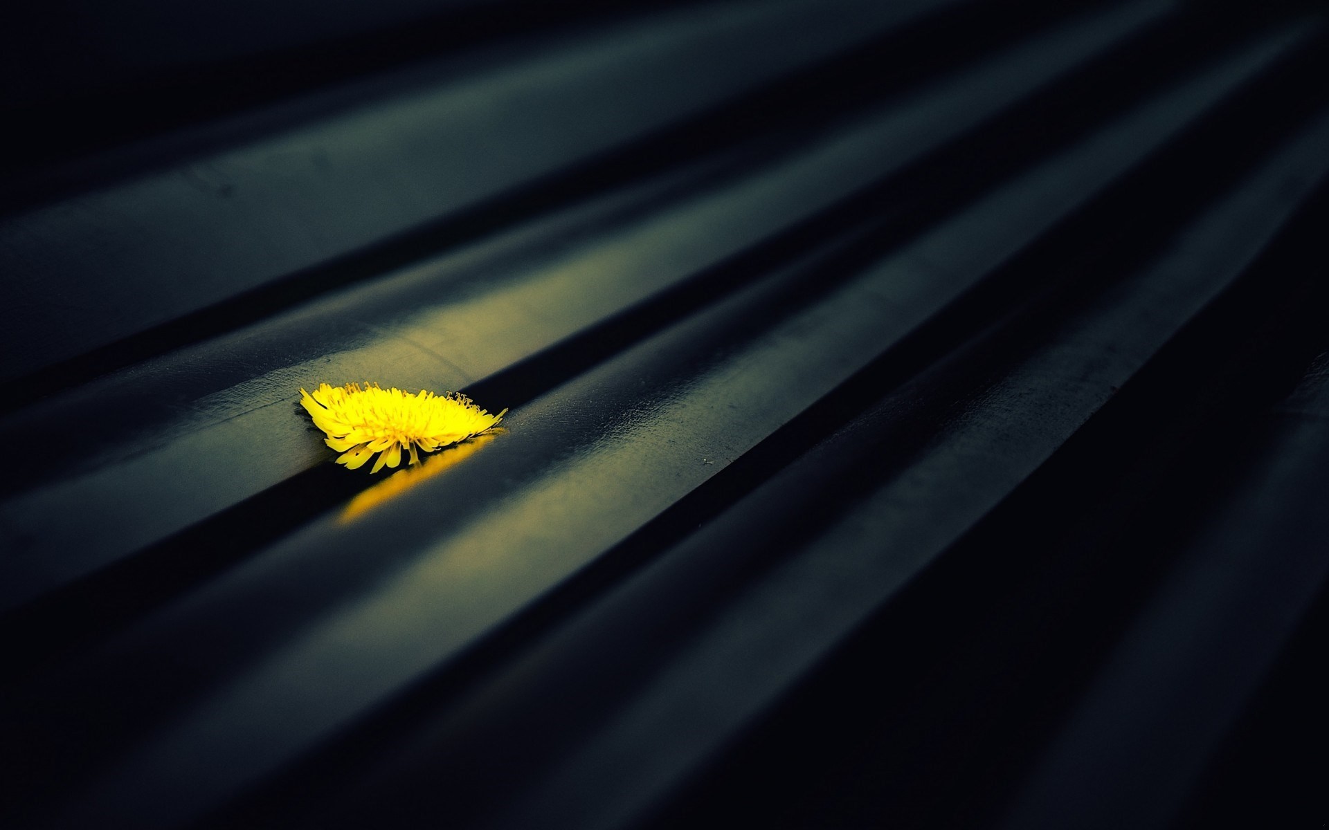 Wygląda na to, że tylko cierpiąc, potrafimy zobaczyć, co jest …