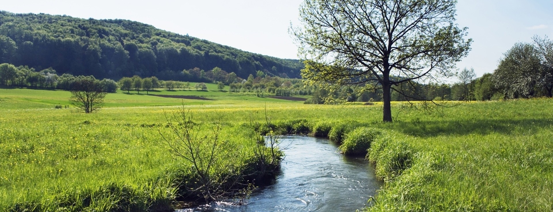 Życie nie jest rzeką; składa się z pojedynczych kropel.