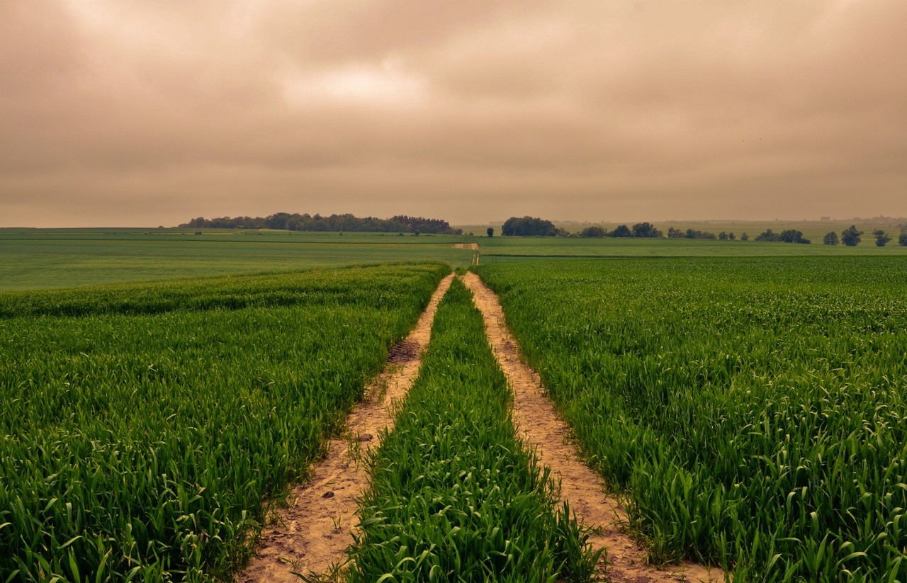 Czasami miłość oznacza, że trzeba odejść.