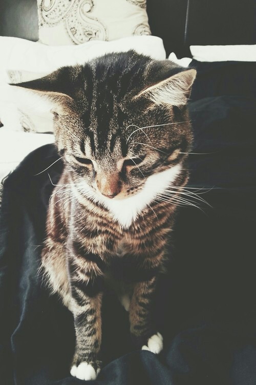 Życie jest jak piosenka. Choć czasem ze zdartej płyty.