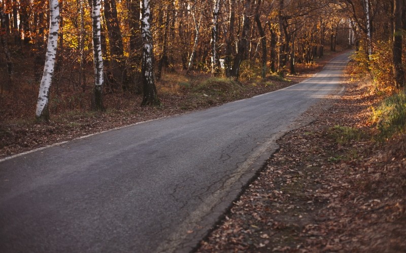 Ludzie błądzą, kiedy nie słuchają serca – to były ostatnie …