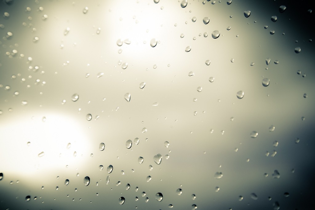 Patrzyłam na nich wszystkich śmiejących się, beztroskich i melancholia powoli …