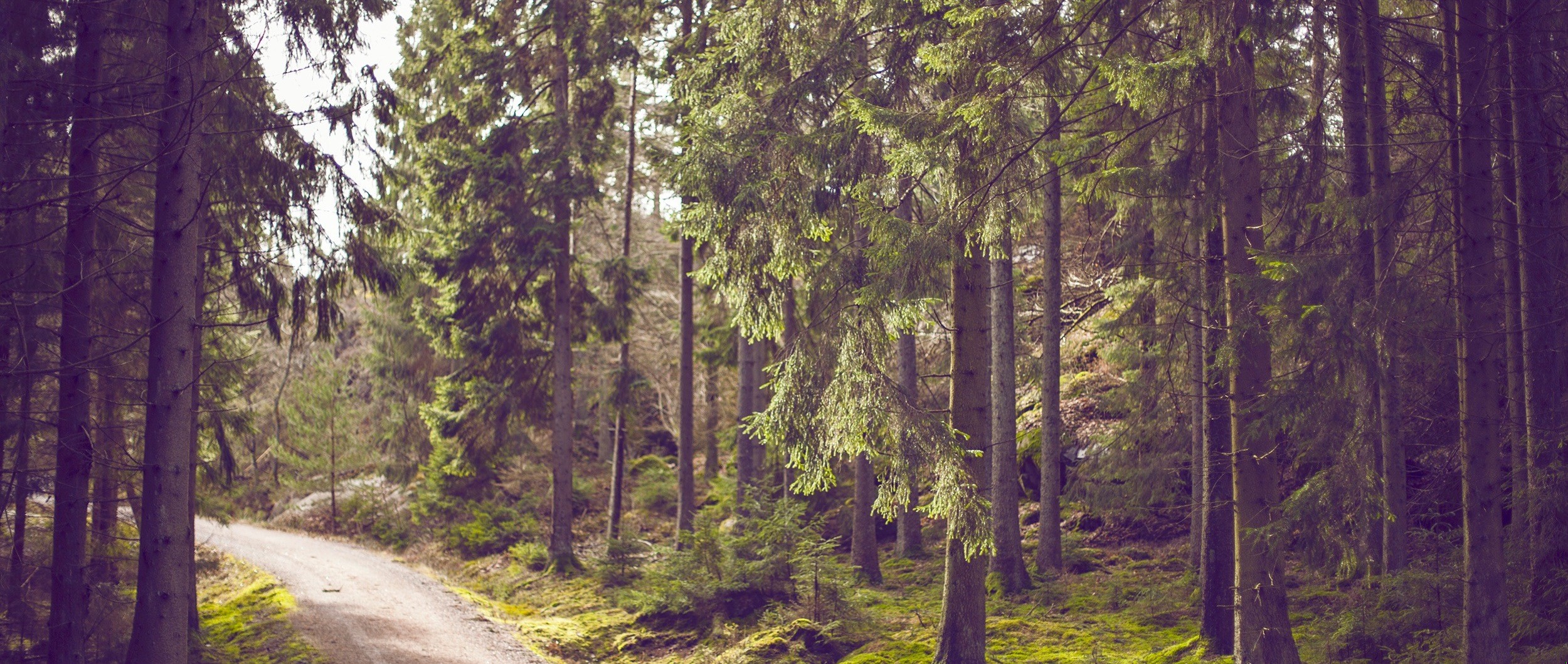 Wolę umrzeć na własnych warunkach, niż żyć na ich.