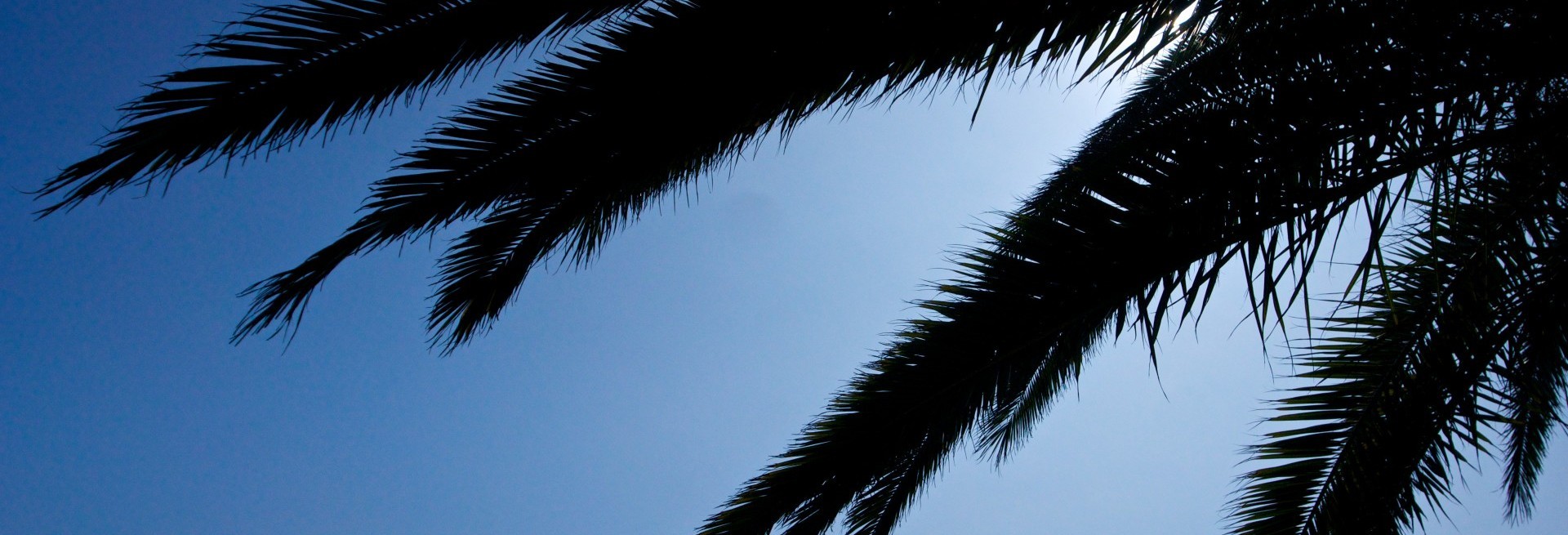 Nie do wiary, co się widzi, gdy się na to …