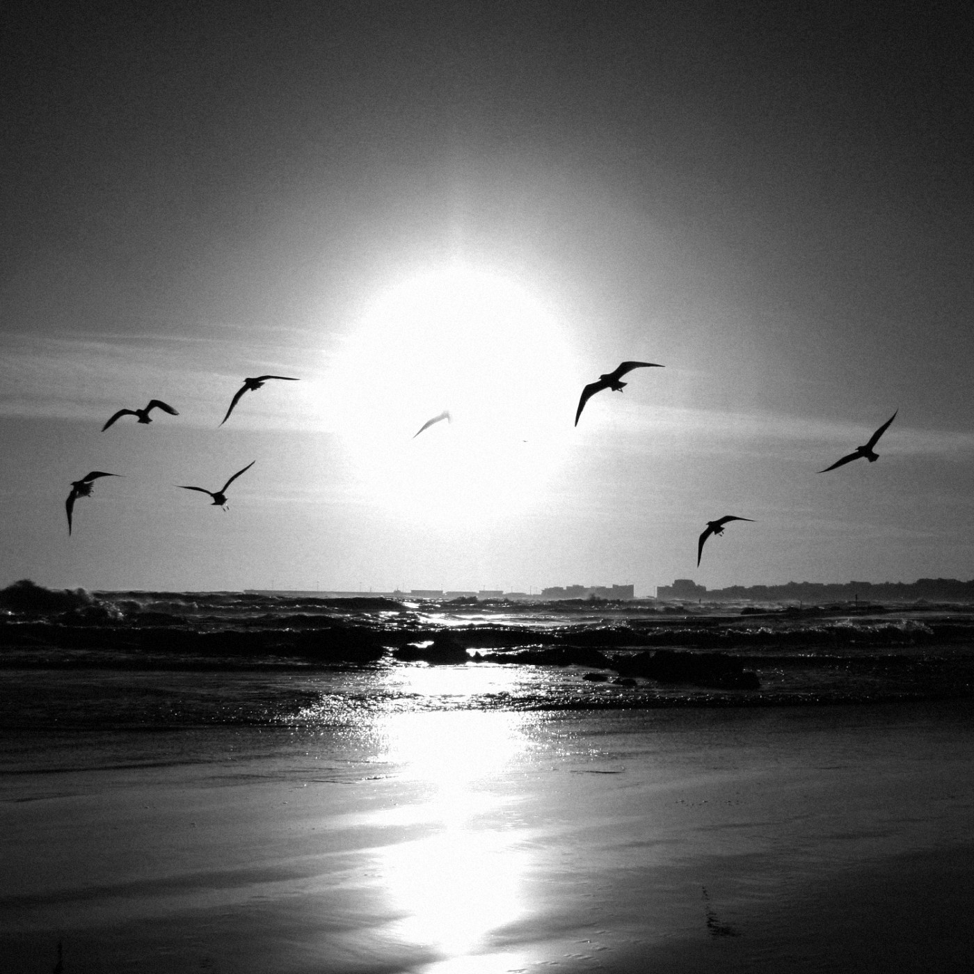 Potrafię uwierzyć w to, że umrę, ale, cholera jasna, nie …