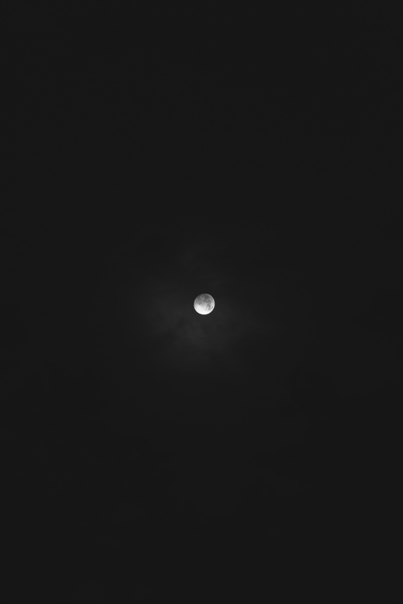 Noc niesie ukojenie i dodaje nam sił. W obliczu jej …