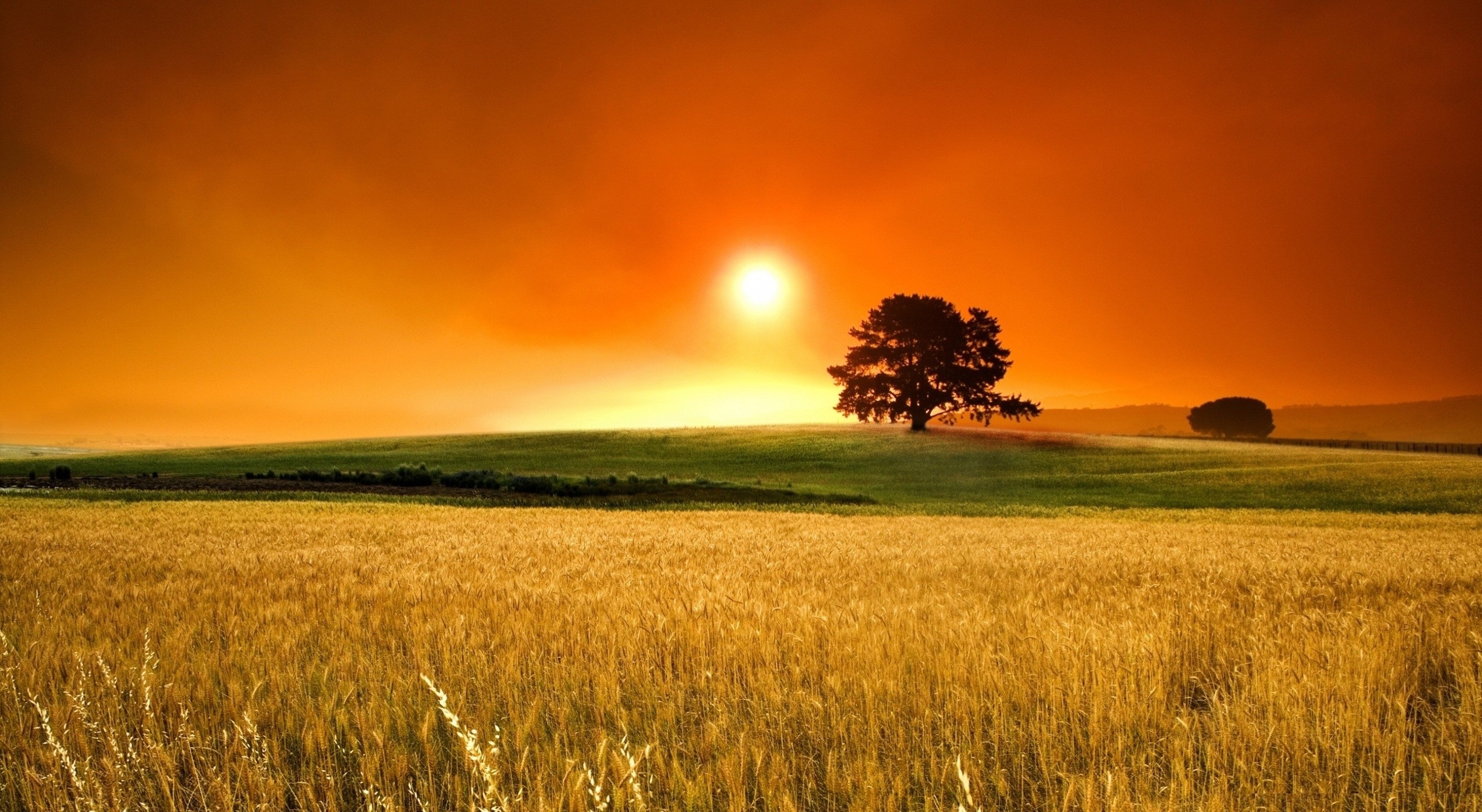 Zadziwiające, że czasem nie potrafimy dostrzec tego, co mamy przed …