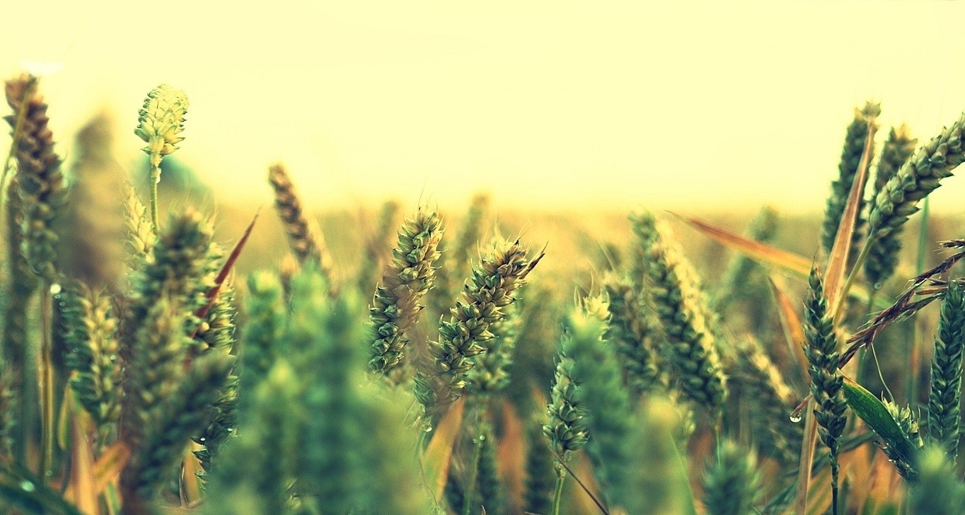 Uśmiech to bodaj najkrótsza droga do drugiego człowieka.