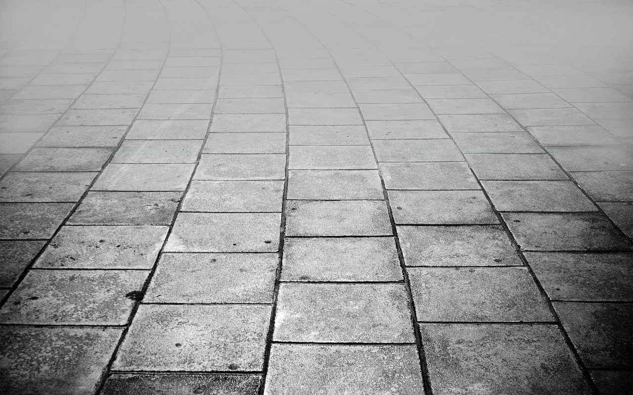 Tu, wśród cieni i dalekich krzyków, najbardziej ceni się cisze.