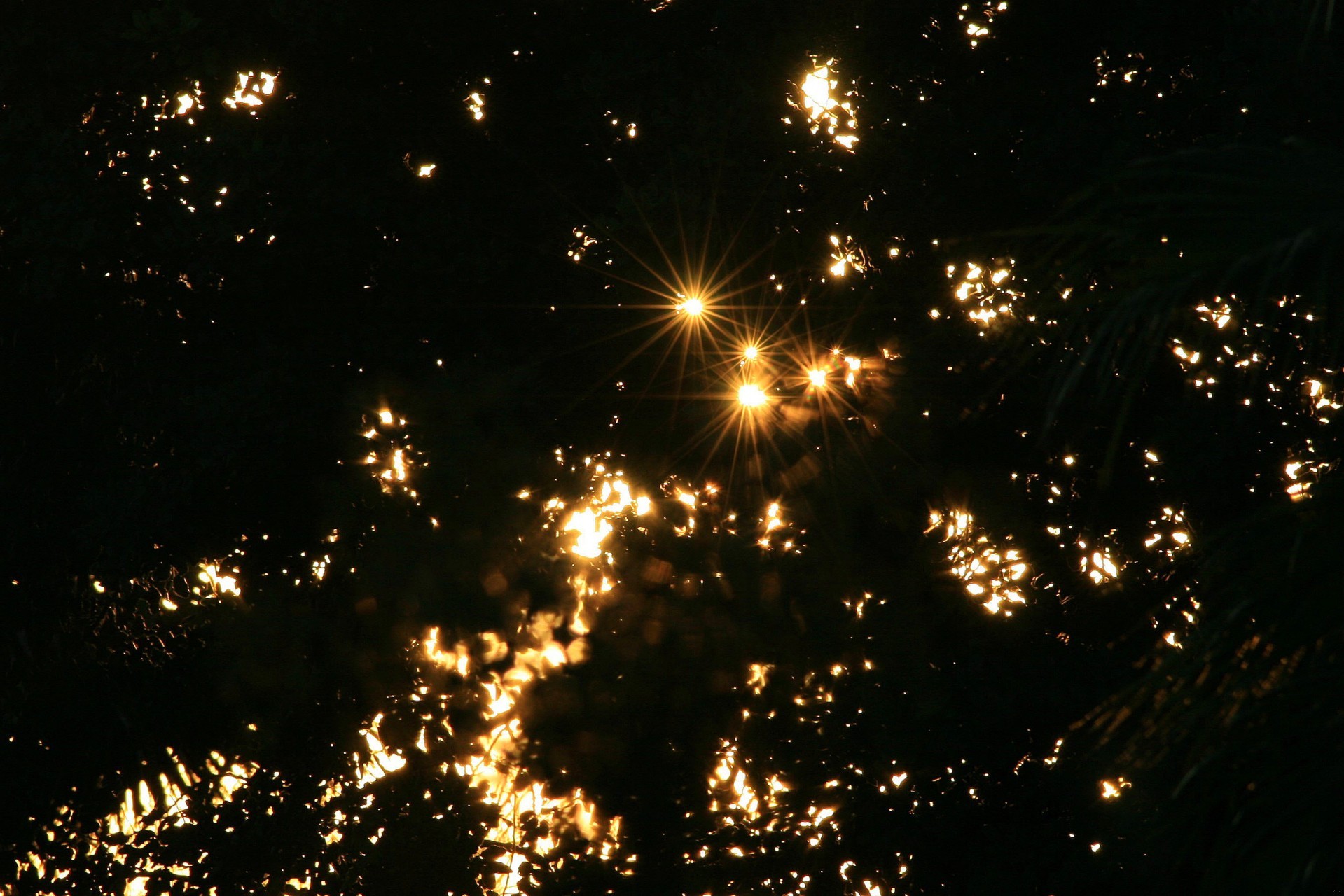 Kobiety wychodzą często za mąż lub giną w inny sposób.