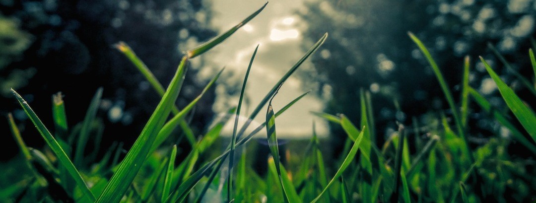 Tak, każdemu się wydaje, że umrze, kiedy zostaje rozdzielony z …