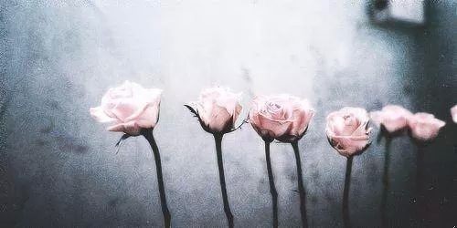 Nikt nie jest bezpieczny w domu czarnoksiężnika.