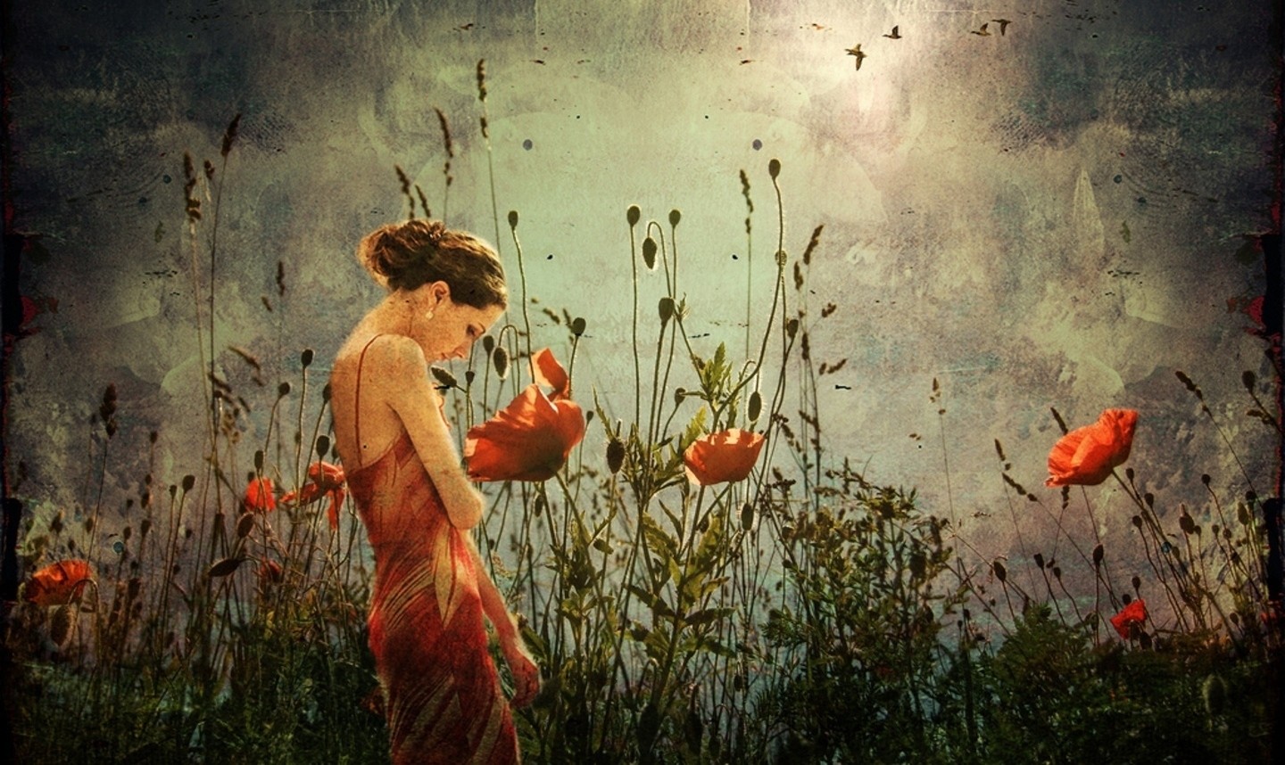 Takie właśnie jest życie – jedno wielkie kłamstwo. Iluzja, w …