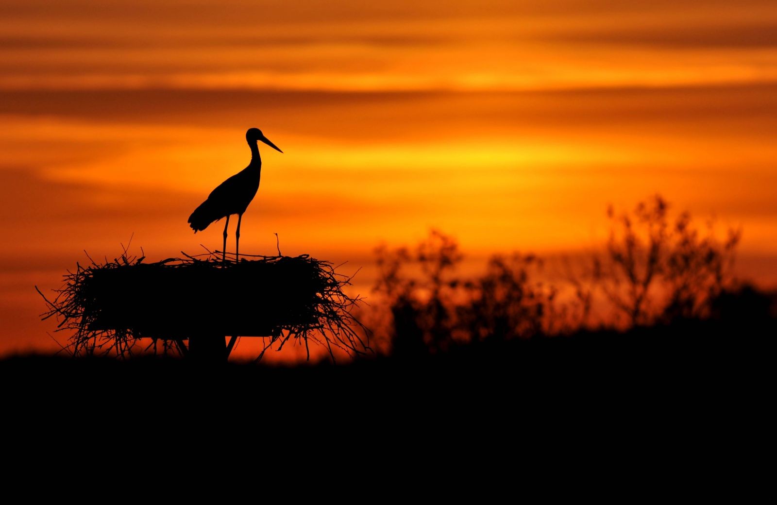 Człowiek miewa w życiu takie chwile, że lubi otaczać się …