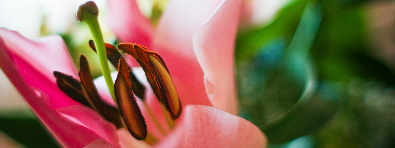Najniewinniej wyglądająca osoba może mieć najczarniejsze serce.